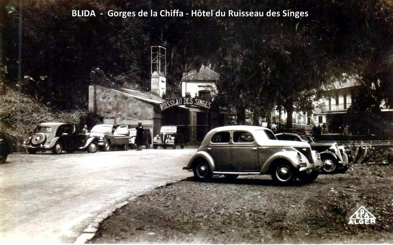 Blida - Gorges de la Chiffa - Entree Hotel Ruisseau des Singes.jpg